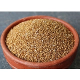 Foxtail Millet (Thinai)
