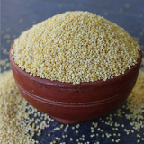 Little Millet (Samai)