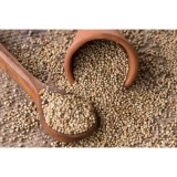 Pearl Millet (Kambu)