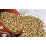 KODA MILLET (Varagu)