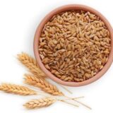 Whole Wheat-1Kg